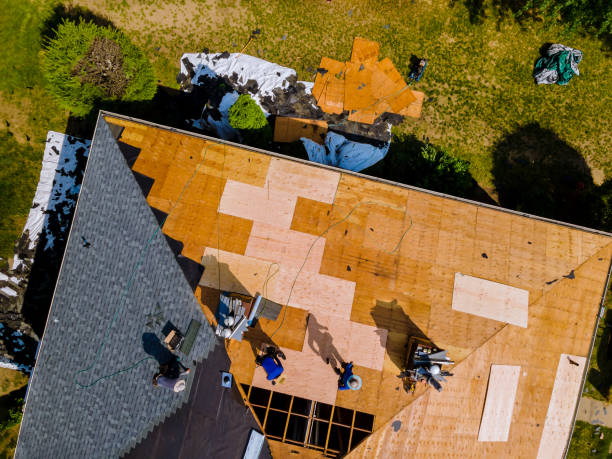 Quick and Trustworthy Emergency Roof Repair Services in Sonoma State University, CA
