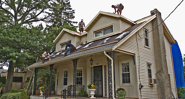 Professional Roofing Contractor in Sonoma State University, CA