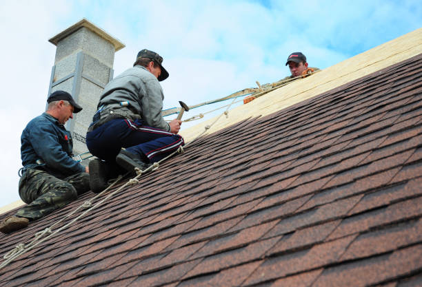 Roof Waterproofing Services in Sonoma State University, CA